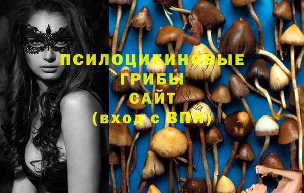 спайс Алексин