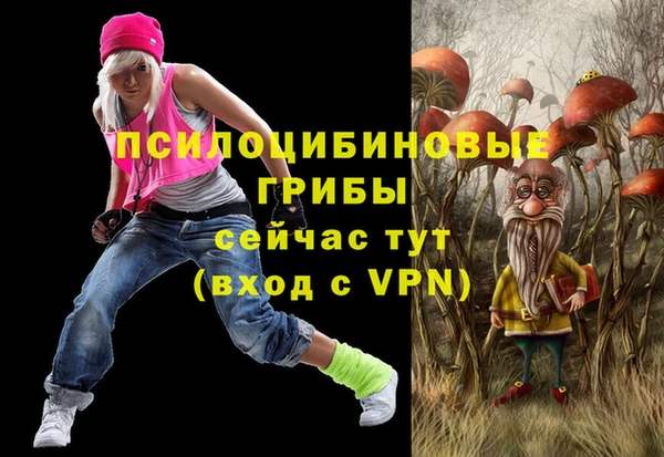 apvp Алексеевка