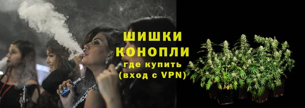 спайс Алексин