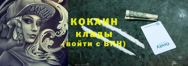 спайс Алексин