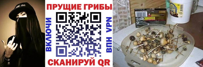 Псилоцибиновые грибы Cubensis  купить наркотики цена  ссылка на мегу как войти  Мамоново 